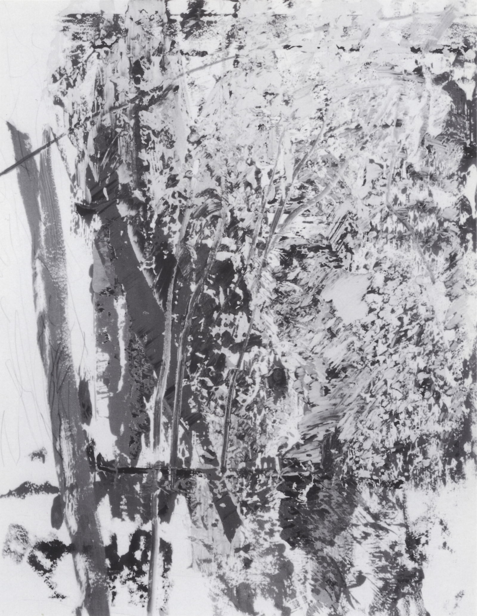 纸本油画» 格哈德·里希特