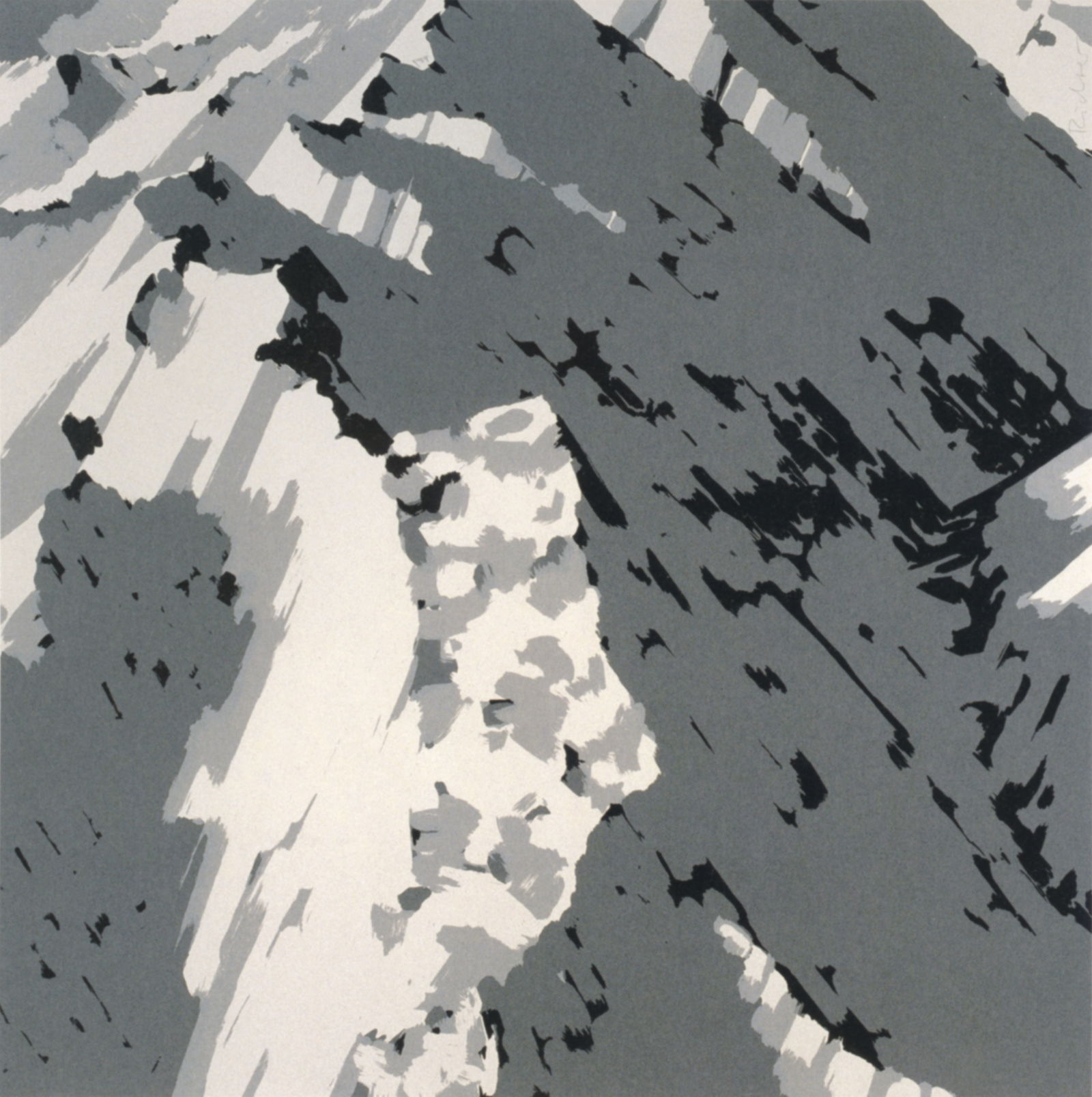 GERHARD RICHTER Editions 1965–2013 Gerhard Richter Editions 1965 2013 2299 » Literature
