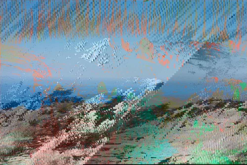 乡村风景» 油彩涂抹的相片» 格哈德·里希特