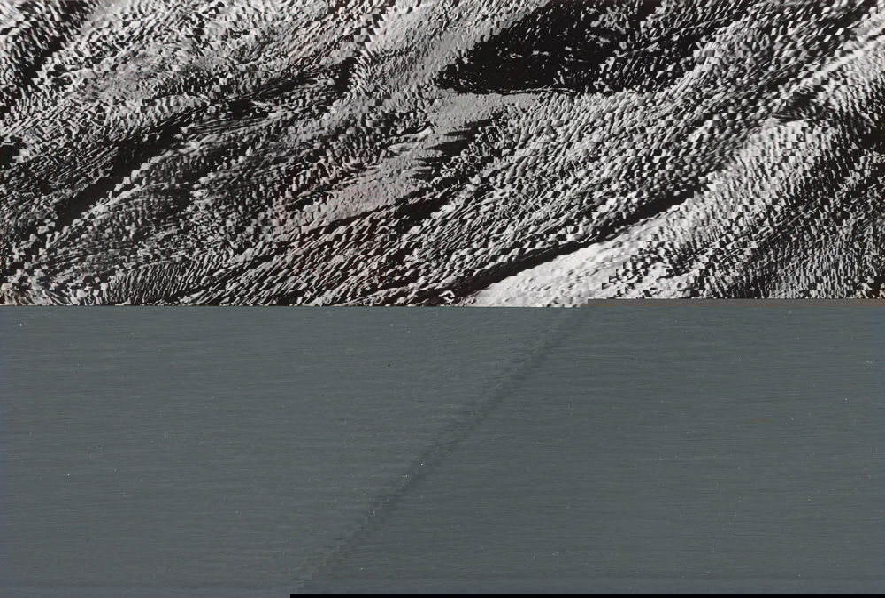 油彩涂抹的相片» 格哈德·里希特