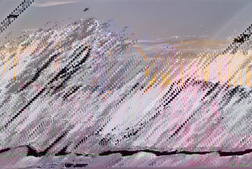 油彩涂抹的相片» 格哈德·里希特