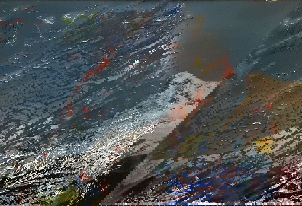 油彩涂抹的相片» 格哈德·里希特