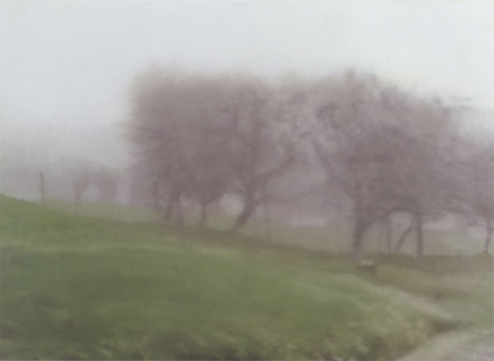 抽象画1990–1994 » 展览» 格哈德·里希特