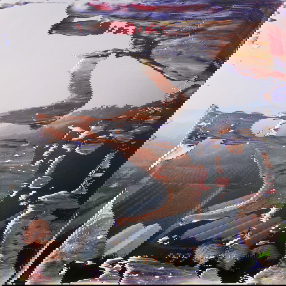 油彩涂抹的相片» 格哈德·里希特