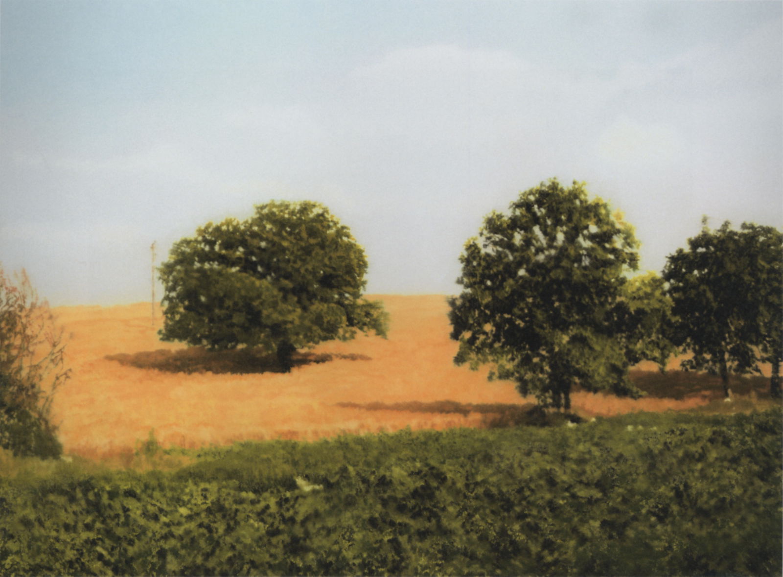 アート・デザイン・音楽 Gerhard Richter LANDSCAPES Gerhard Richter: Landscape: Richter, Gerhard, Butin