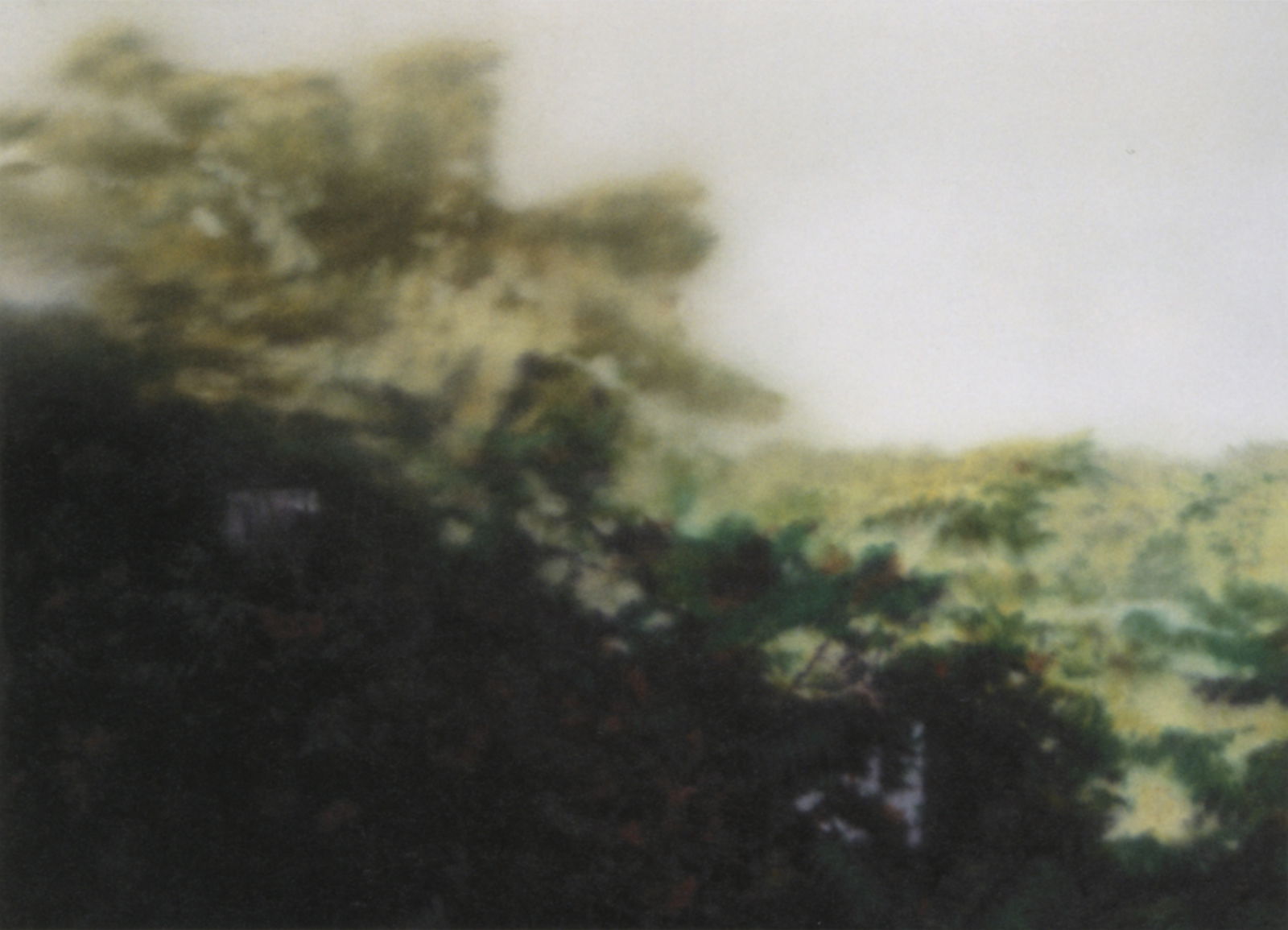 アート・デザイン・音楽 Gerhard Richter LANDSCAPES Gerhard Richter: Landscape: Richter, Gerhard, Butin
