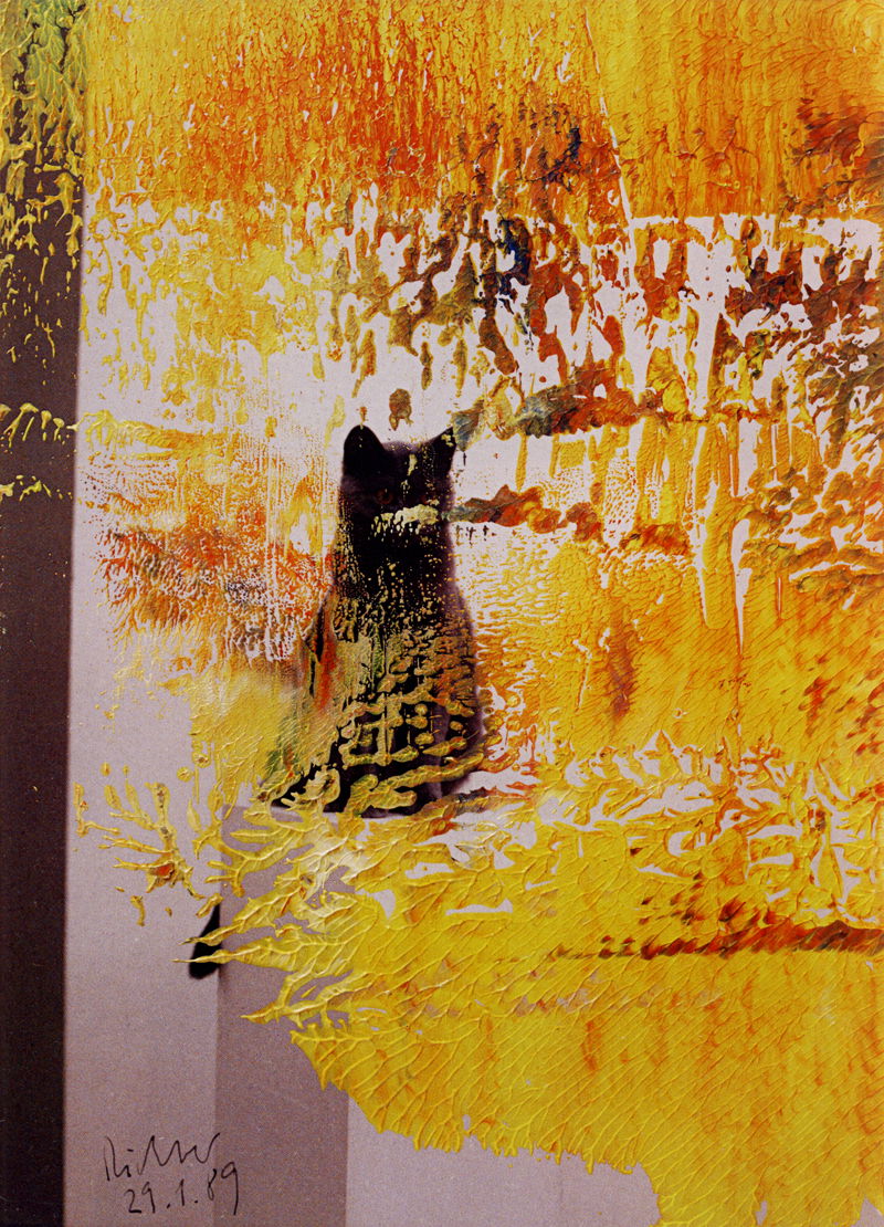 洋書 Gerhard Richter: Overpainted Photographs 7118.jpg?width=1200&height=630