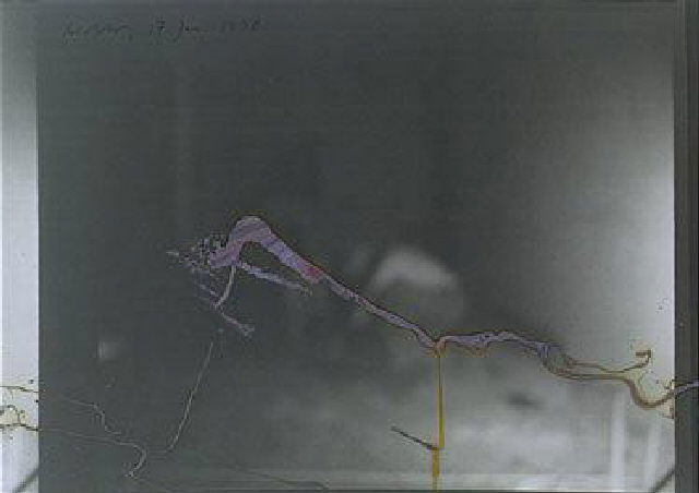 油彩涂抹的相片» 格哈德·里希特