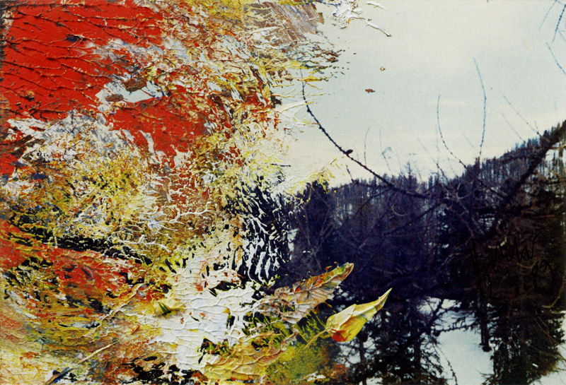 作者不詳　油彩画 油彩涂抹的相片» 格哈德·里希特