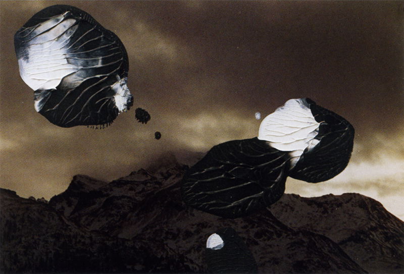 油彩涂抹的相片» 格哈德·里希特