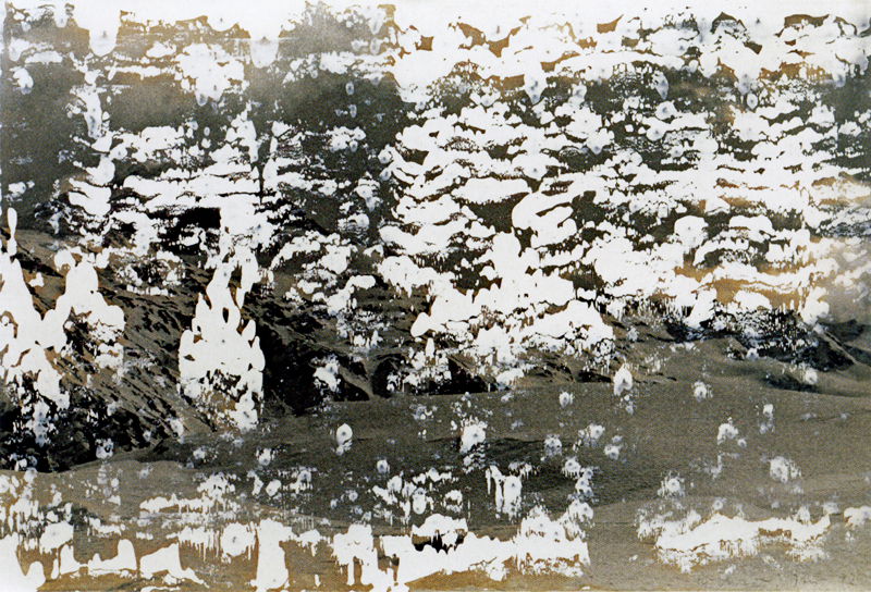 油彩涂抹的相片» 格哈德·里希特