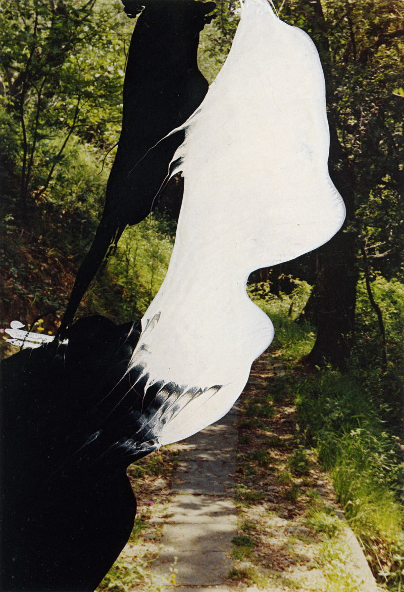 乡村风景» 油彩涂抹的相片» 格哈德·里希特