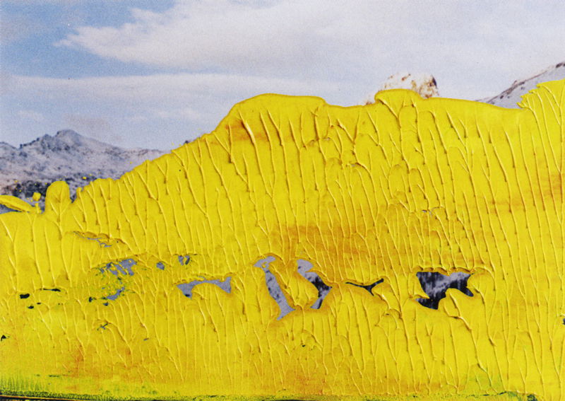 地主悌助　石　油彩画　10号 油彩涂抹的相片» 格哈德·里希特