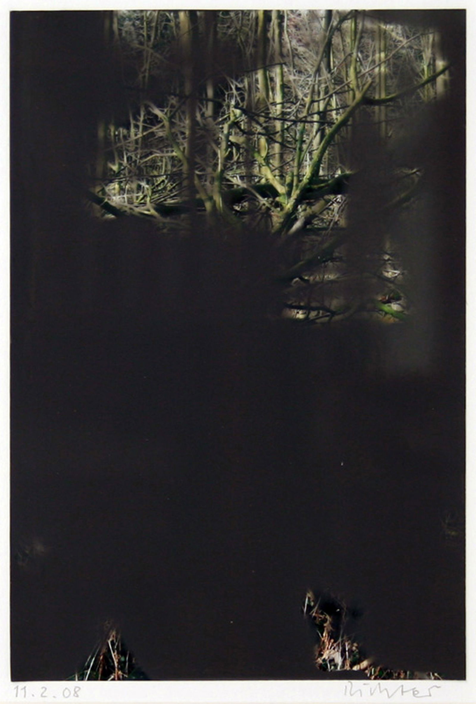 灰森林» 油彩涂抹的相片» 格哈德·里希特