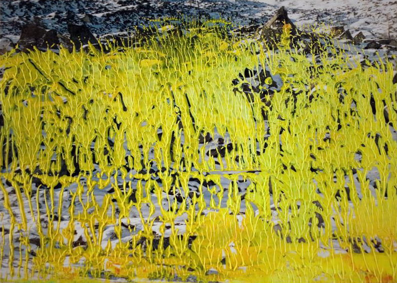 洋書 Gerhard Richter: Overpainted Photographs Gerhard Richter | Overpainted Photographs – Sies + Höke Shop
